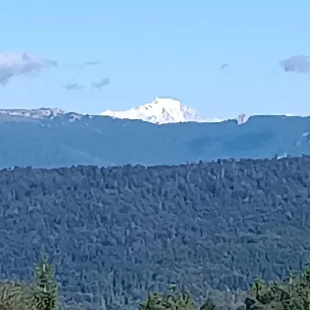 La Fora *